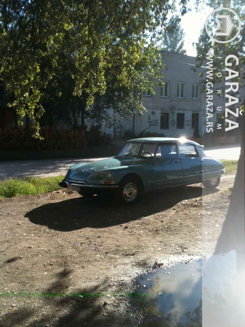 photo.JPG
