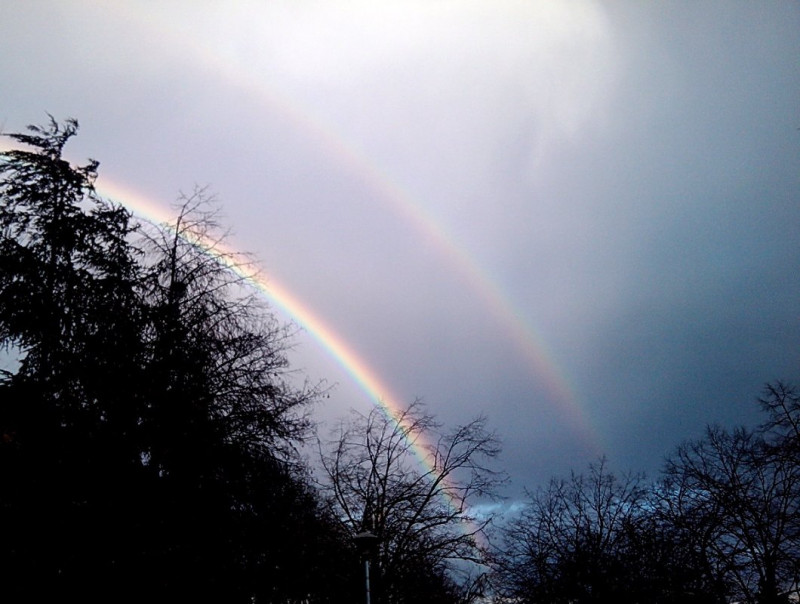 IMG_20130329_171440.jpg