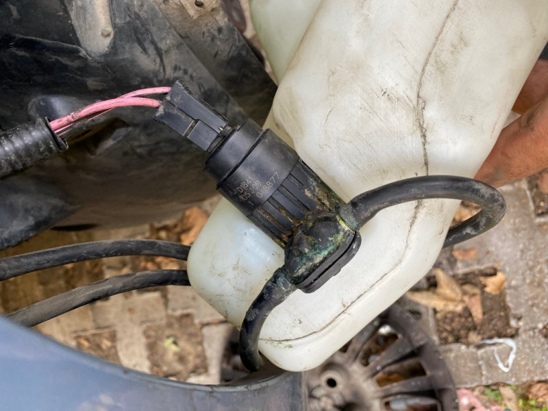 Punto motoric.jpg