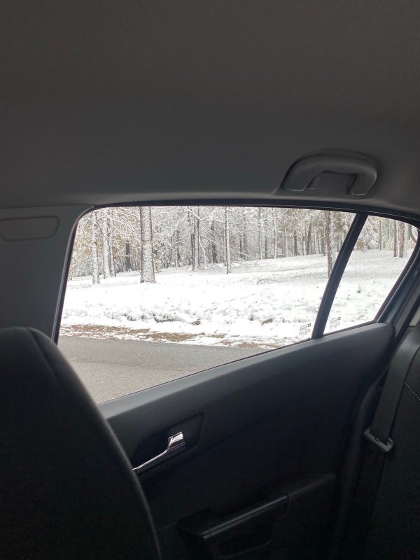 IMG_3818.jpeg