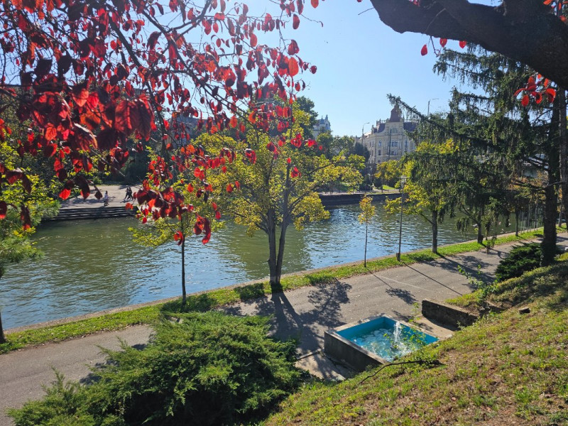 20240922_160705.jpg