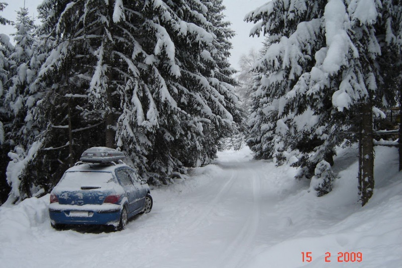 2009 Golija 060.jpg