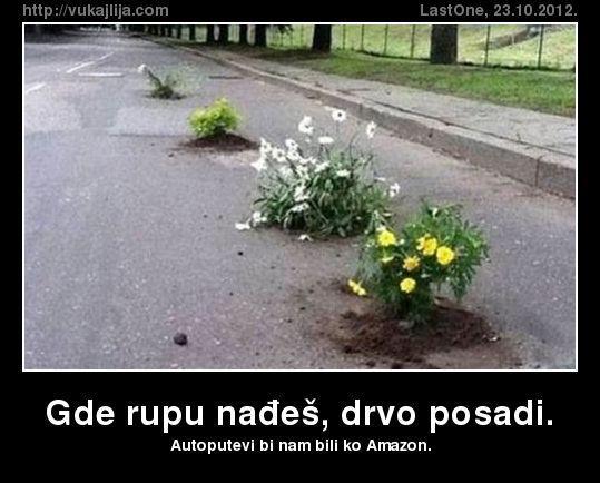 a.jpg