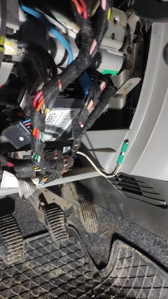 Punto bela zica1.jpg