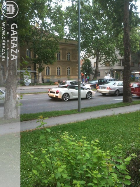 photo.JPG