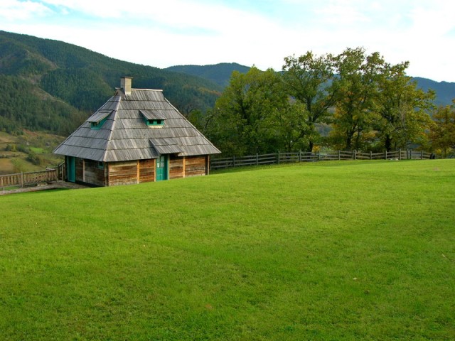DSCN0254.JPG