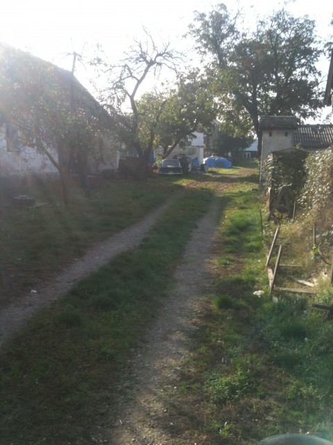 photo.JPG