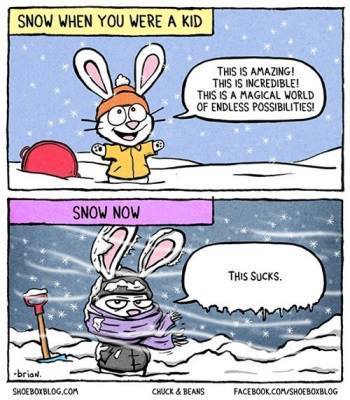 snow.jpg