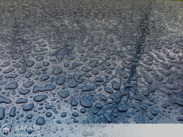 photo (1).JPG