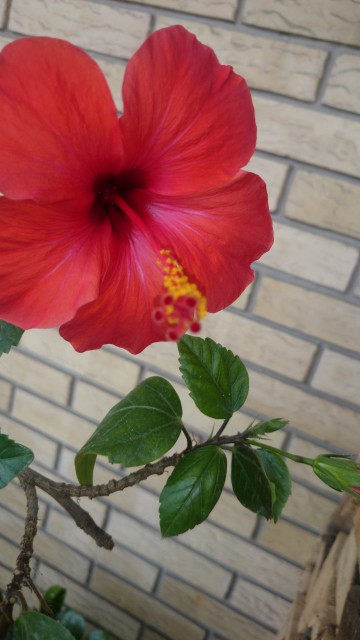 DSC_0961.JPG