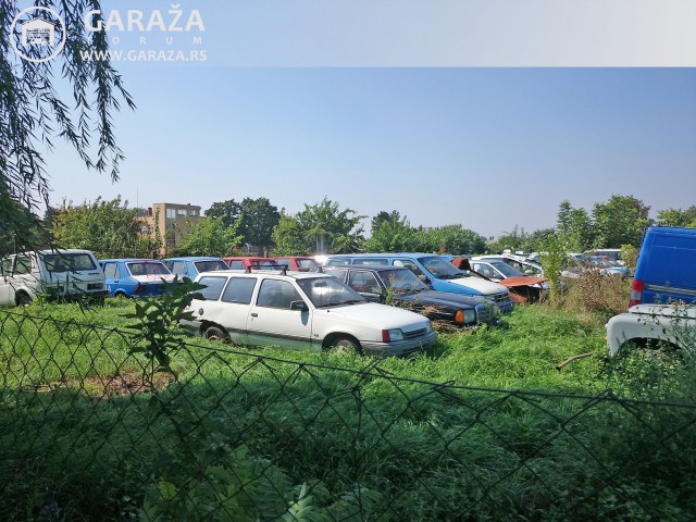 DSC_0154.JPG