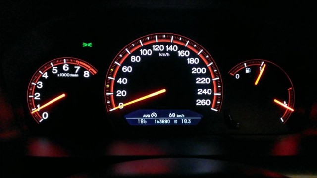trip a 1.jpg