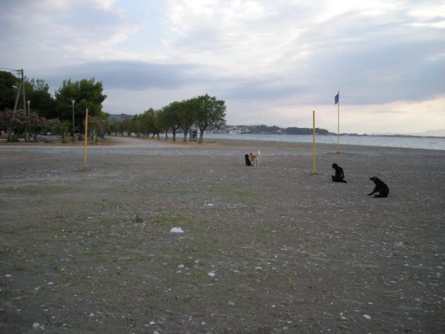 DSCN6894.JPG