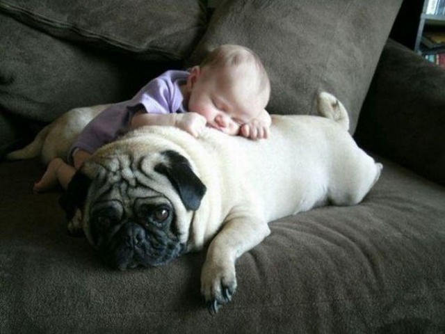 mops i beba.jpg