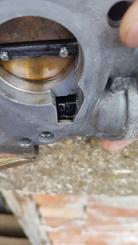 20180402_121510.jpg