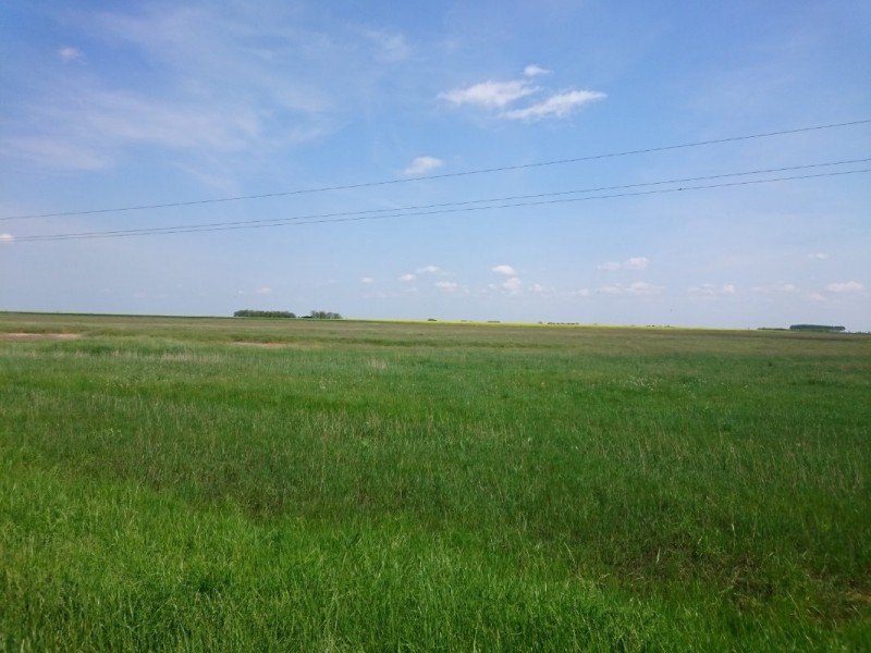 DSC_0536.JPG