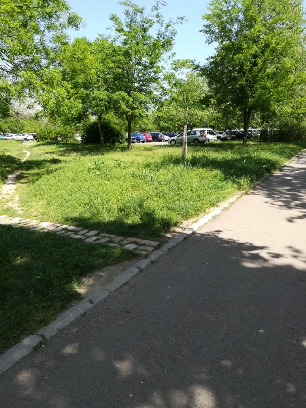 IMG_20180426_123404.jpg
