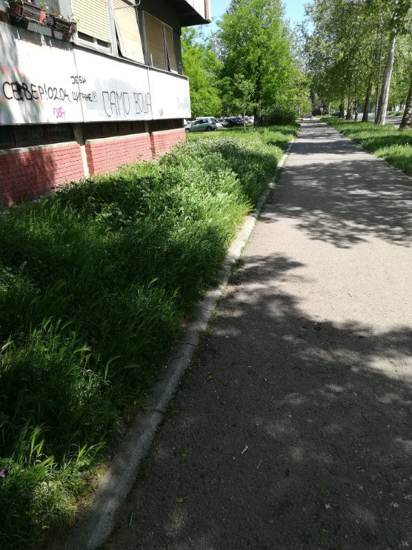 IMG_20180426_123348.jpg