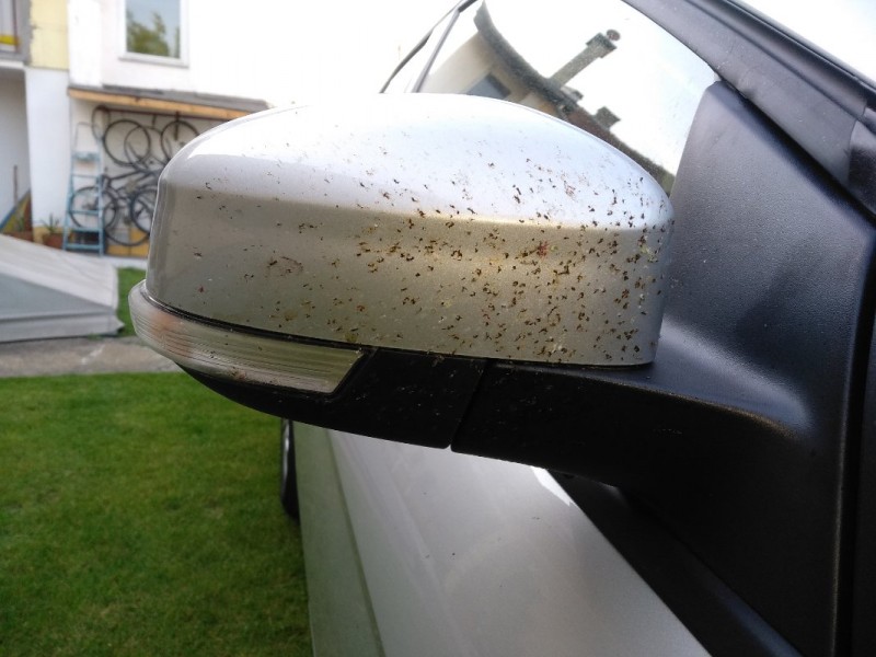 IMG_20180601_185357.jpg (126.05 KiB) Pogledano 1730 puta IMG_20180601_185357.jpg