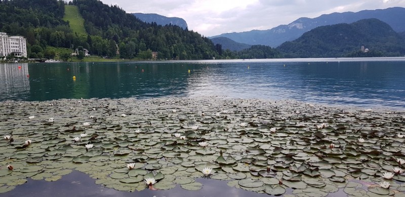 20180616_142606.jpg