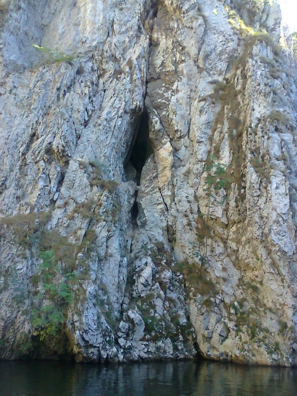 picin vir.jpg