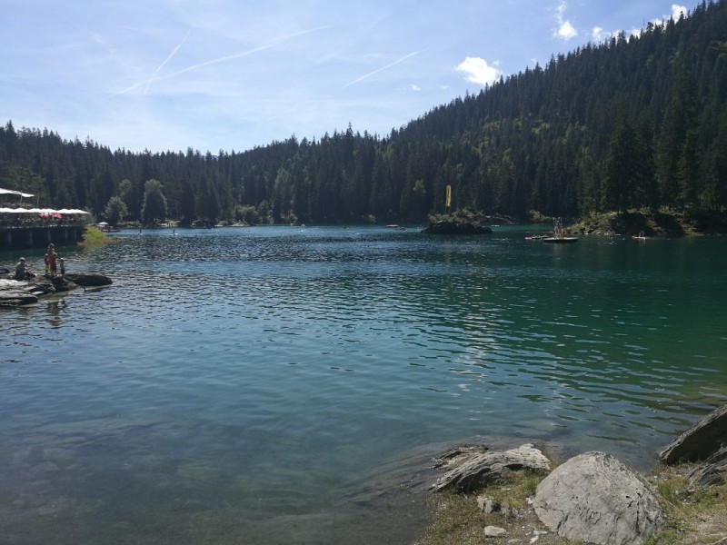 IMG_20180729_114758.jpg