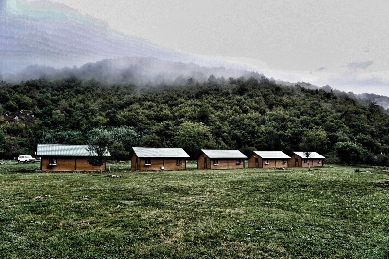 Kamp