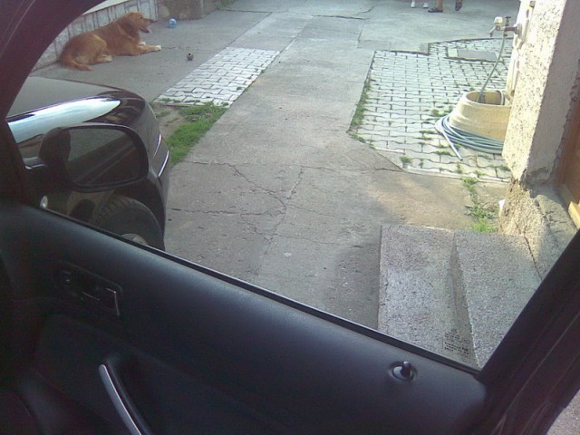 Image349_resize.jpg