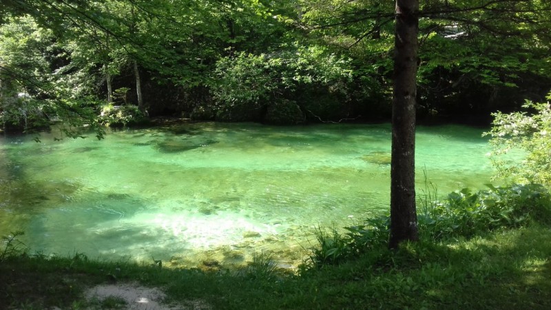 20180526_104100.jpg