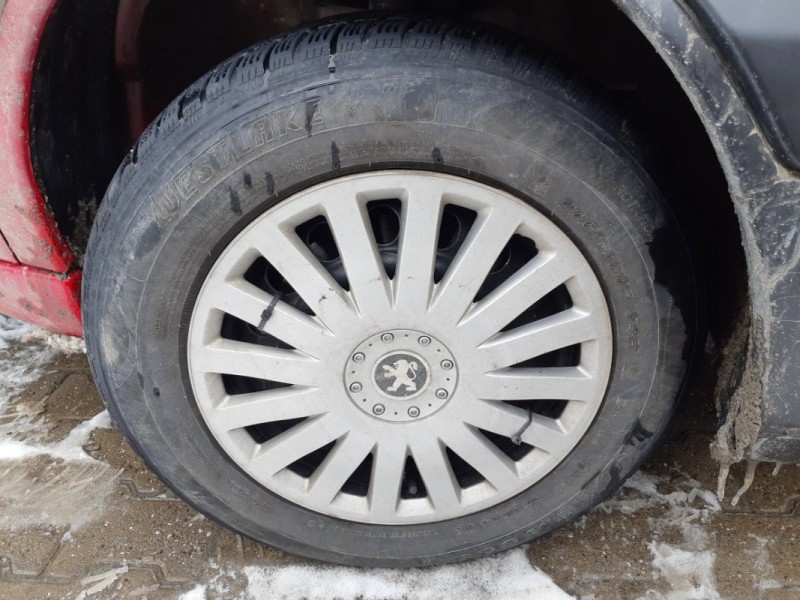 20190111_115155.jpg